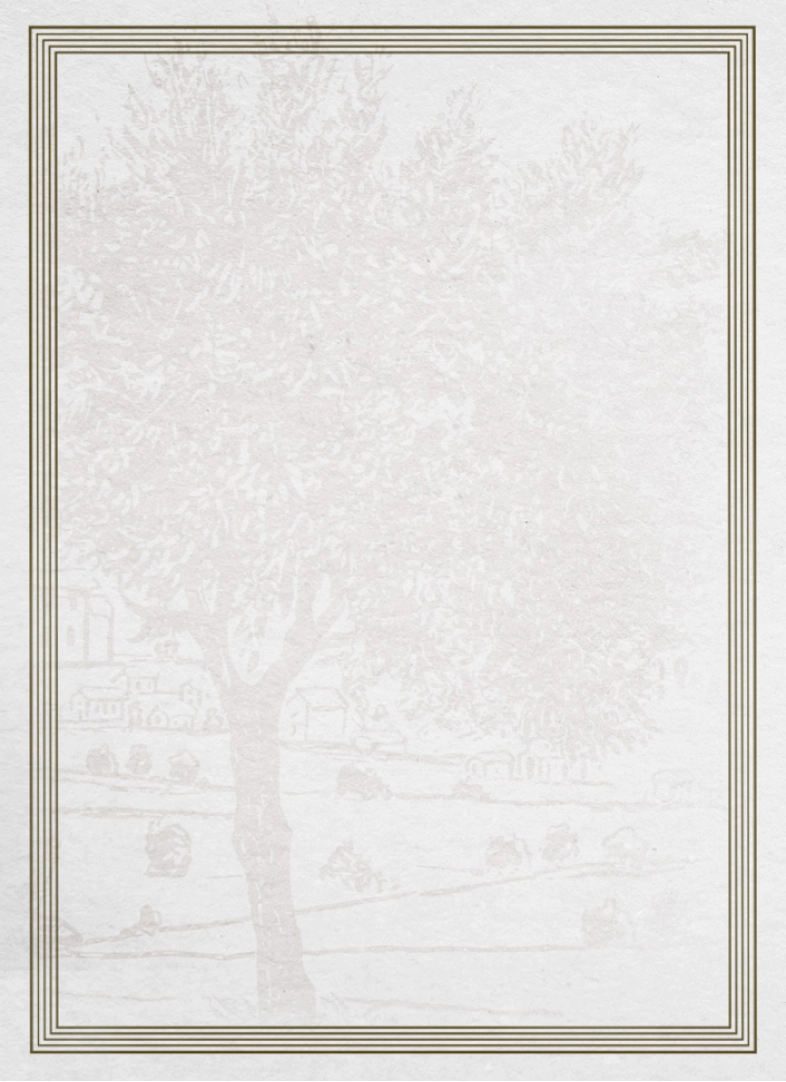 Decorative white wall tile with a subtle pattern on a light gray border