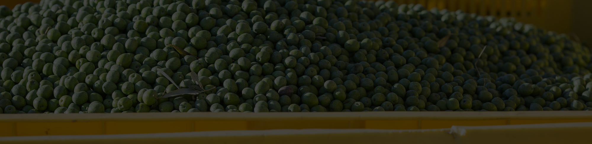 decorative background of partanna olives